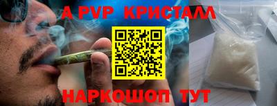 гидра Долгопрудный