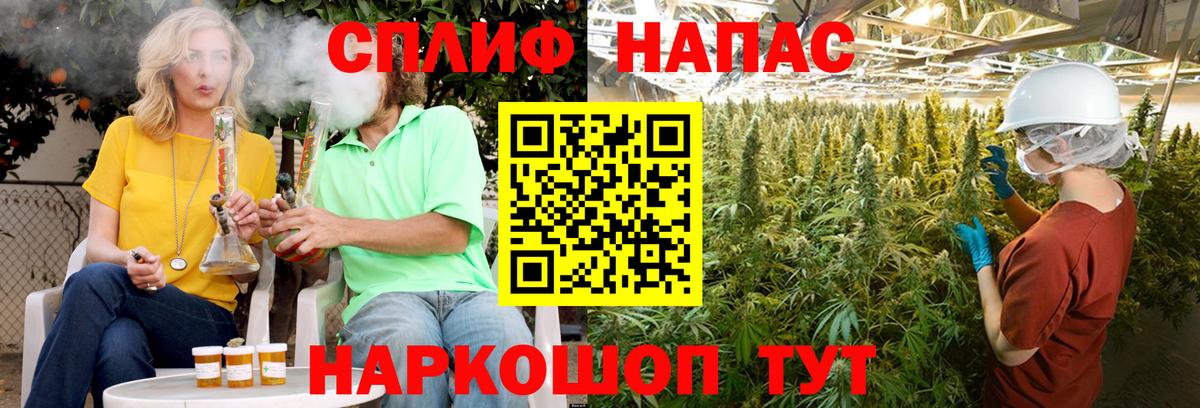 Конопля White Widow Вышний Волочёк